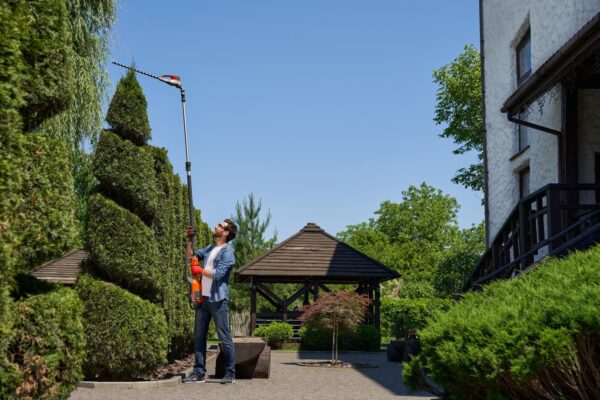 skilful-male-landscaper-using-high-altitude-hedge-trimmer-topiary-park-side-view-focused_7502-10164 skilful-male-landscaper-using-high-altitude-hedge-trimmer-topiary-park-side-view-focused_7502-10164